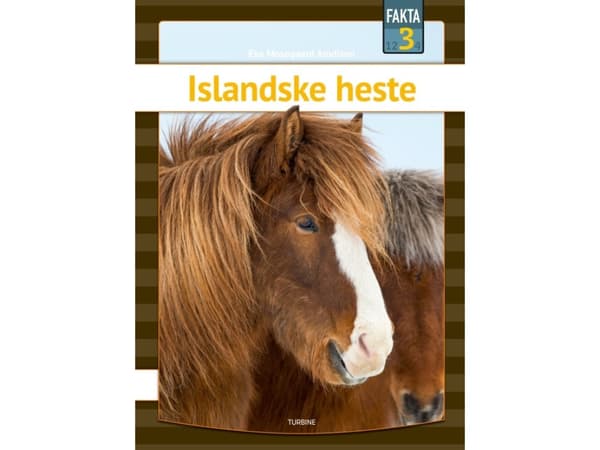 Islandske heste | Eva Mosegaard Amdisen