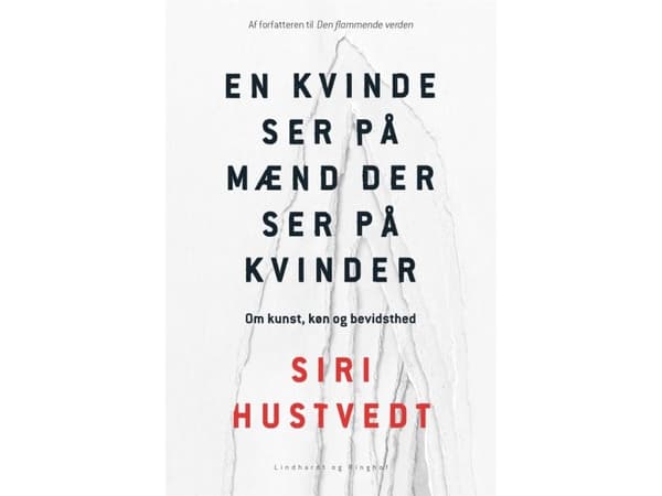 En kvinde ser på mænd som ser på kvinder | Siri Hustvedt