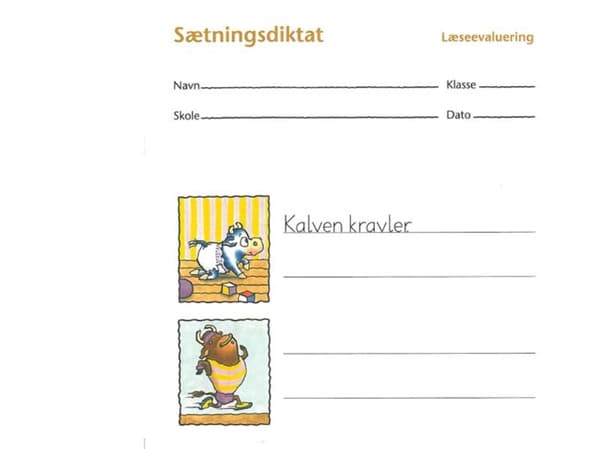Lukemisen arviointi, 10 kappaleen lauseen sanelu | Ina Borstrøm, Dorthe Klint Petersen | Kieli: Tanska