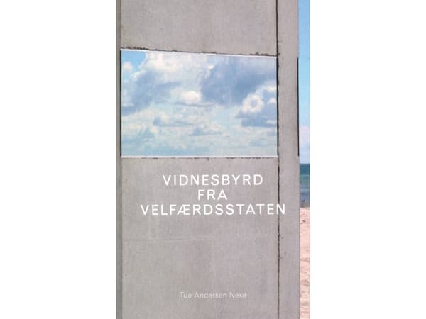 Vidnesbyrd fra velfærdsstaten | Tue Andersen Nexø | Språk: Dansk