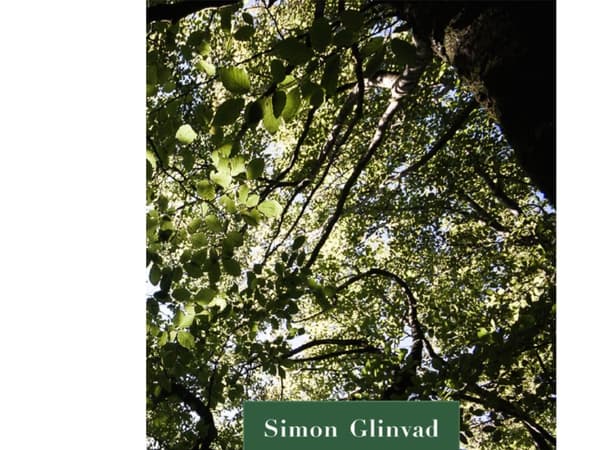 Min grønne himmel | Simon Glinvad | Kieli: Tanska