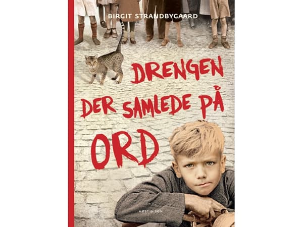Drengen der samlede på ord | Birgit Strandbygaard | Språk: Danska