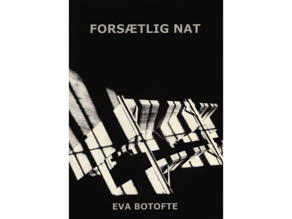 Tarkoituksellinen yö | Eva Botofte | Kieli: Tanska