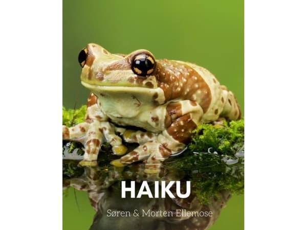 HAIKU | Søren ja Morten Ellemose | Kieli: Tanska