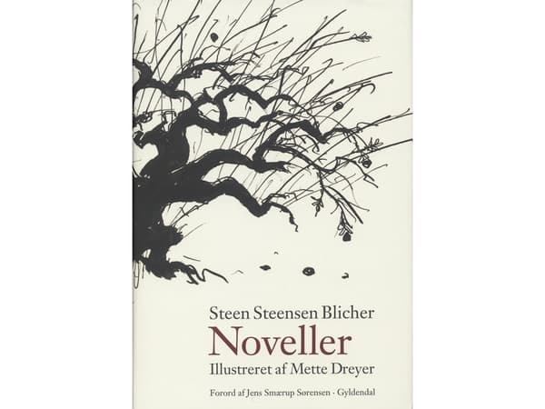 Noveller | Steen Steensen Blicher | Kieli: Tanska