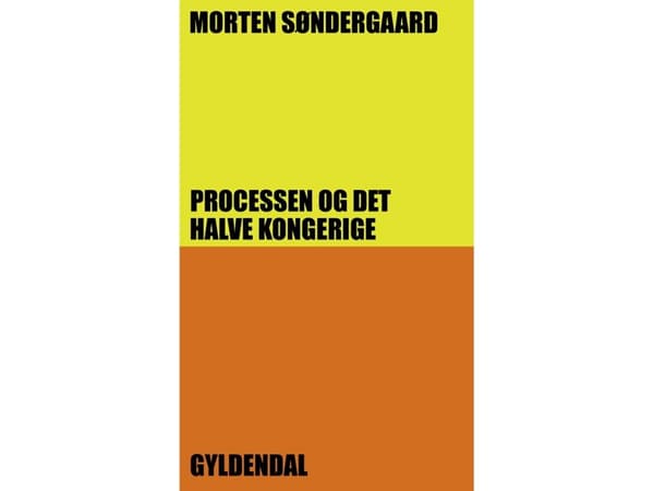 Processen og det halve kongerige | Morten Søndergaard | Språk: Danska
