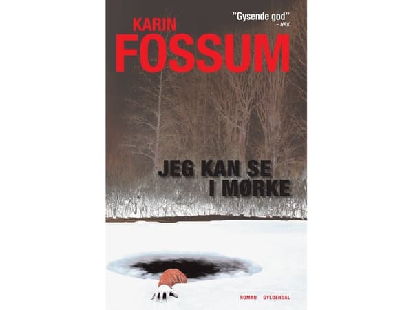 Jeg kan se i mørke | Karin Fossum | Språk: Danska