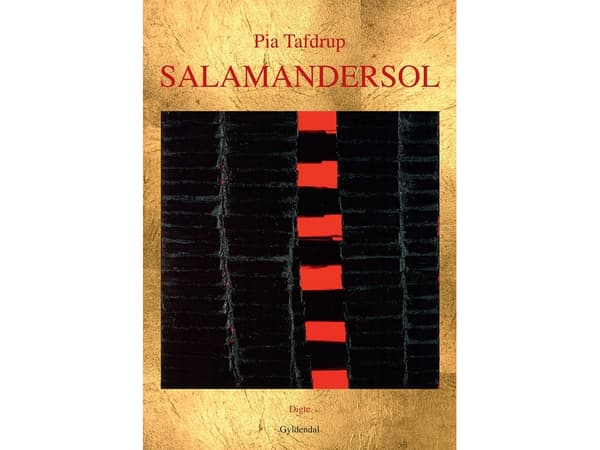 Salamandersol | Pia Tafdrup | Kieli: Tanska