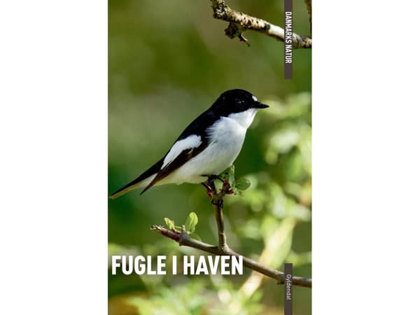 DANMARKS NATUR Fugle i haven | Axel Kielland;Benny Génsbøl | Kieli: Tanska