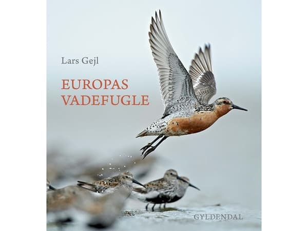 Europas vadefugle | Lars Gejl | Språk: Dansk
