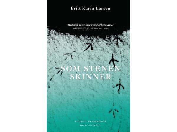 Som stenen skinner | Britt Karin Larsen | Språk: Dansk