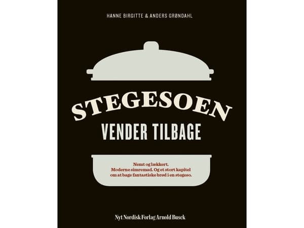 Stegesoen vender tilbage | Anders Grøndahl;Hanne Birgitte Grøndahl | Språk: Danska