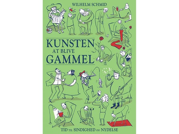 Vanhenemisen taito | Wilhelm Schmid | Kieli: Tanska