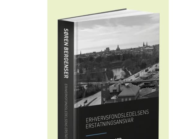 Yritysrahaston johdon vastuu | Søren Bergenser | Kieli: Tanska