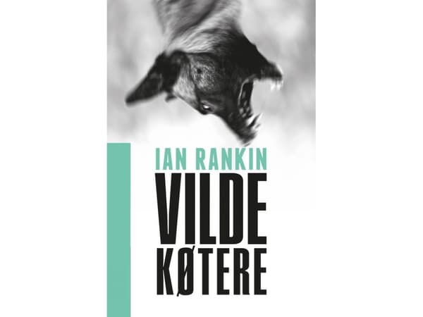 Pitkän aikavälin PB | Ian Rankin | Kieli: Tanska
