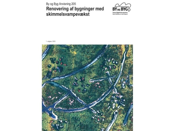 Renovering af bygninger med skimmelsvampevækst | Anne Pia Koch, Peter A. Nielsen | Kieli: Tanska