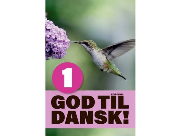 Hyvä tanska 1 | Gitte Olling Nygaard | Kieli: Tanska