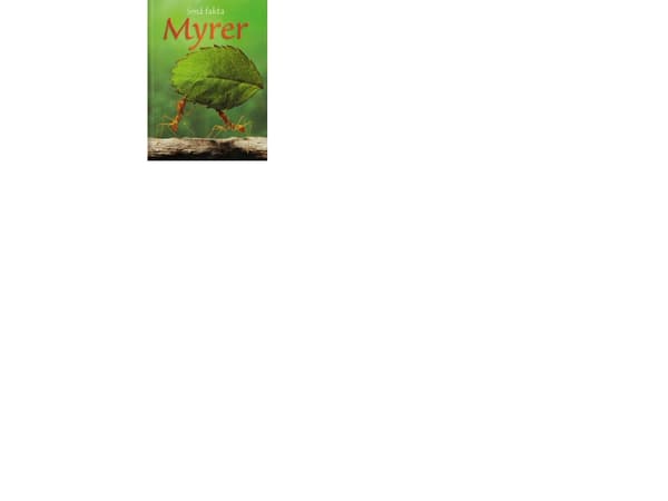 Små fakta: Myrer | Lucy Bowman | Kieli: Tanska