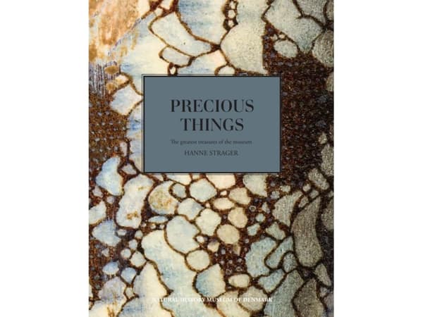 Precious Things | Hanne Strager | Kieli: Englanti