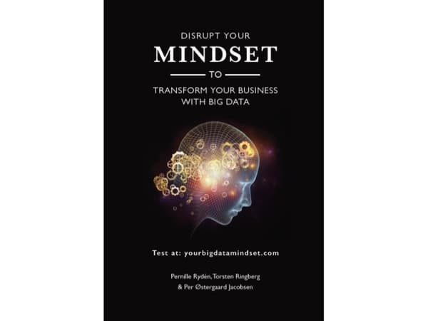 Disrupt your Mindset to Transform your Business with Big Data | Pernille Rydén, Torsten Ringberg og Per Østergaard Jacobsen | Kieli: Tanska