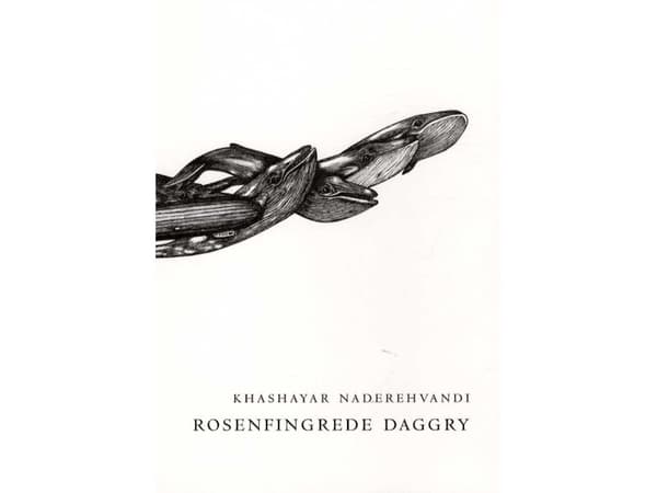 Ruususorminen aamunkoitto | Khashayar Naderehvandi | Kieli: Tanska