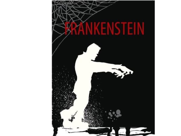Frankenstein, ER C | Mary Shelley | Språk: enu
