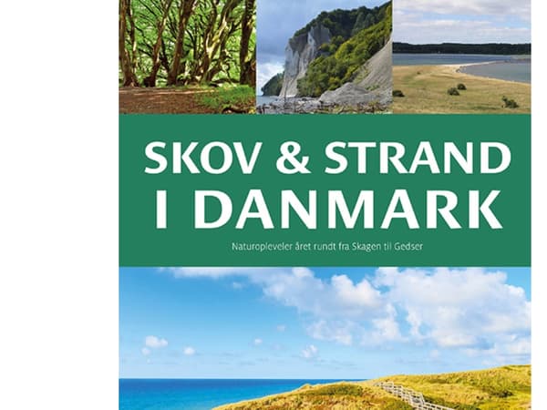 Metsä ja ranta Tanskassa | Søren Olsen | Kieli: Tanska