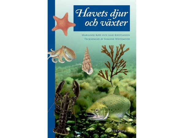 Havets djur och växter | Marianne Køie;Aase Kristiansen | Kieli: Tanska
