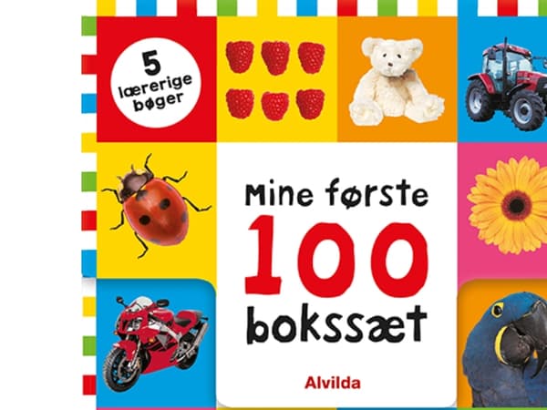 Ensimmäinen 100 - kirjasarja (5 opettavaista kirjaa)
