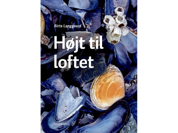 Högt i tak | Birte Langgaard | Språk: Danska