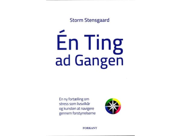 Én ting ad gangen | Storm Stensgaard | Språk: Dansk