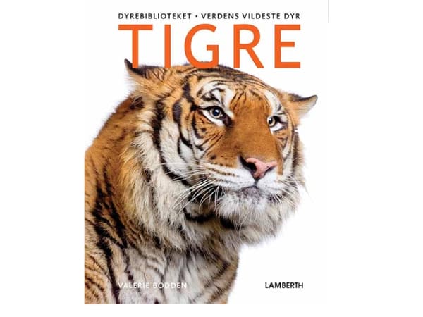 Tigre | Valerie Bodden | Kieli: Tanska