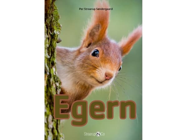 Egern | Per Straarup Søndergaard