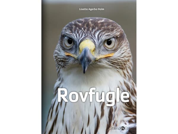 Petolinnut | Lisette Agerbo Holm