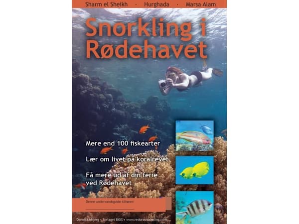 Snorkling i Rødehavet | Dennis Lisbjerg | Språk: Dansk