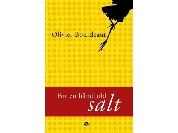 För en handfull salt | Olivier Bourdeaut | Språk: Danska