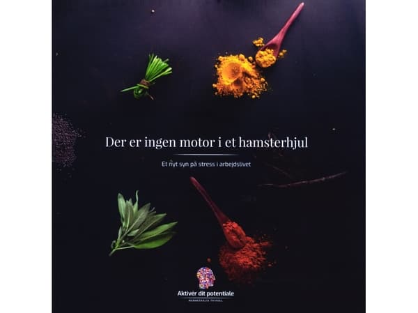 Det finns ingen motor i ett hamsterhjul | Simon Taus Philip Nielsen | Språk: Danska