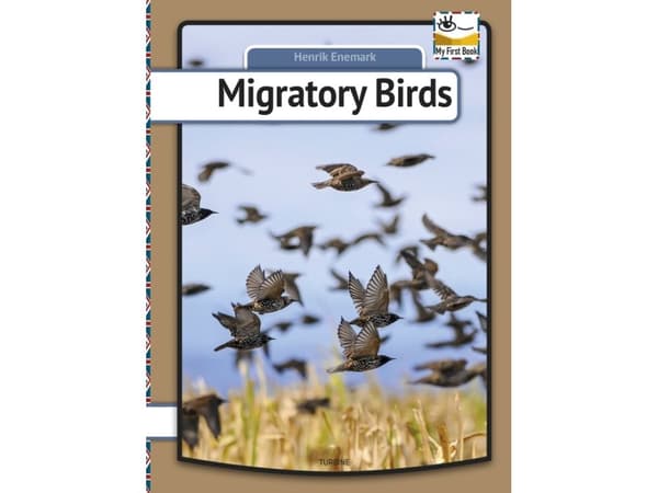 Migratory birds | Henrik Enemark | Kieli: Englanti