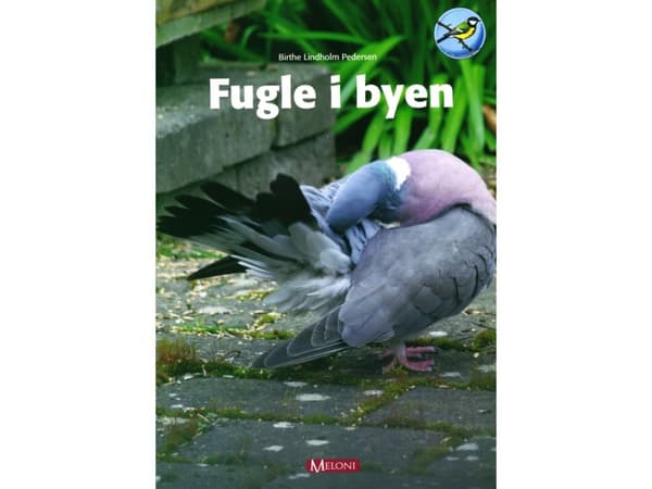 Fugle i byen | Birthe Lindholm Pedersen | Kieli: Tanska