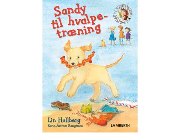 Sandy pentujen koulutukseen | Lin Hallberg | Kieli: Tanska