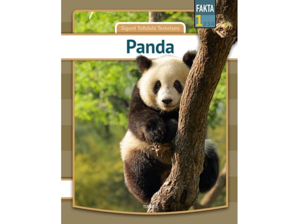 Panda | Sigurd Toftdahl Terkelsen