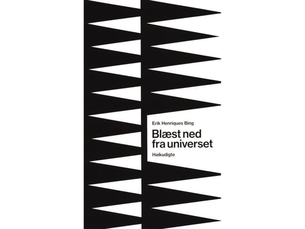 Blæst ned fra universet | Erik Henriques Bing