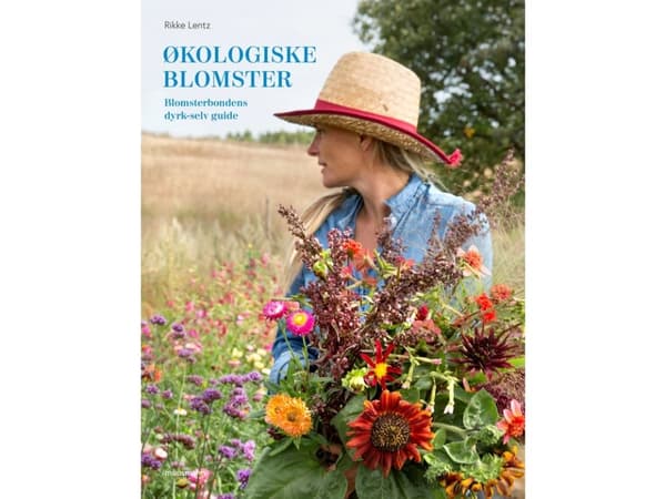Økologiske blomster | Rikke Lentz