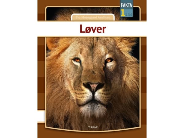 Løver | Eva Mosegaard Amdisen