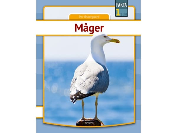 Måger | Per Østergaard