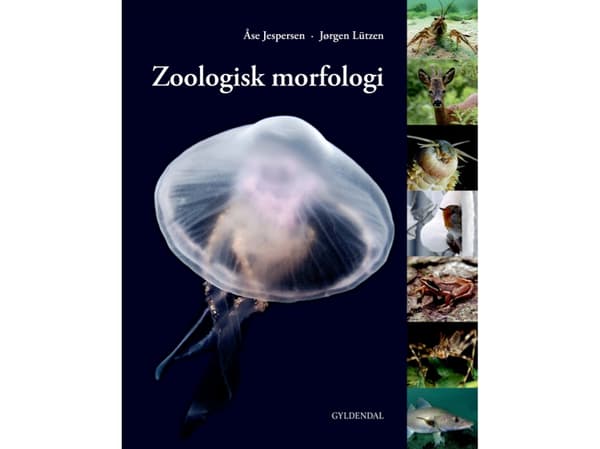 Zoologisk morfologi | Åse Jespersen;Jørgen Lützen