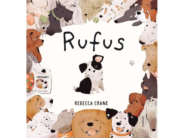 Rufus | Rebecca Crane