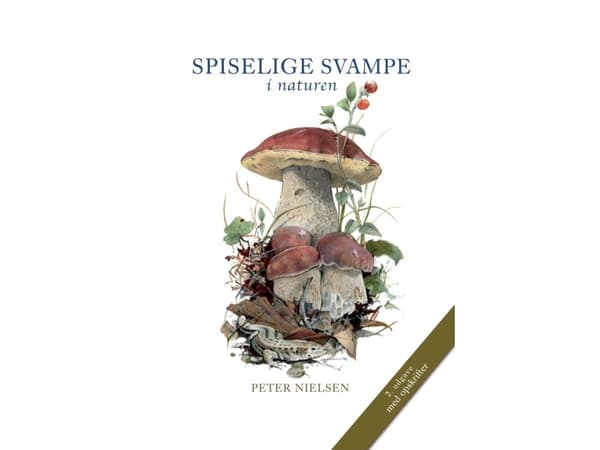Spiselige svampe | Peter Nielsen