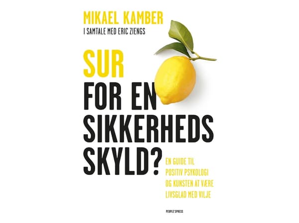 Sur for en sikkerheds skyld | Mikael Kamber & Eric Ziengs