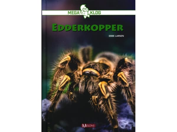 Edderkopper | Ebbe Larsen